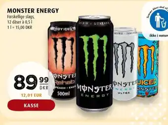 Scandinavian Park MONSTER ENERGY tilbud