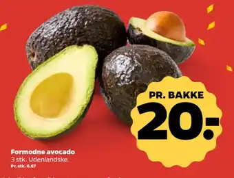 Netto Formodne avocado tilbud