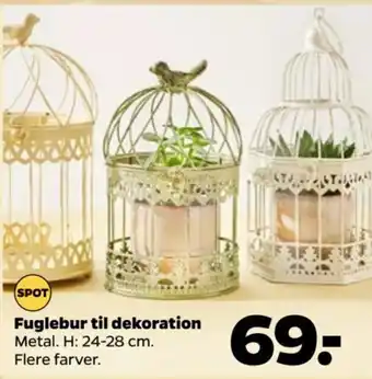Fuglebur til dekoration