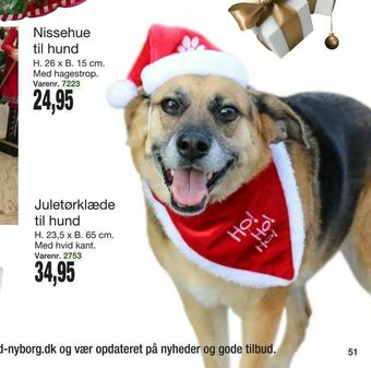 Harald Nyborg Juletørklæde til hund tilbud