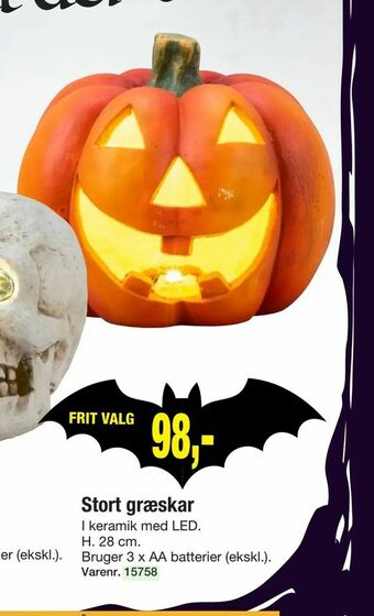 Harald Nyborg Stort græskar tilbud