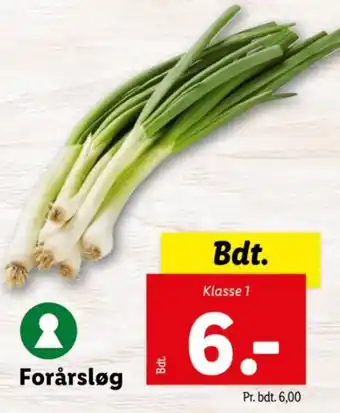 Forårsløg