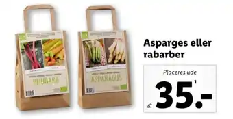 Lidl Asparges eller rabarber tilbud