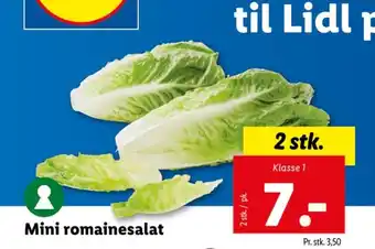 Lidl Mini romainesalat tilbud