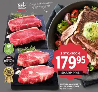 MENY FREYGAARD RIBEYE ELLER ENTRECOTE tilbud