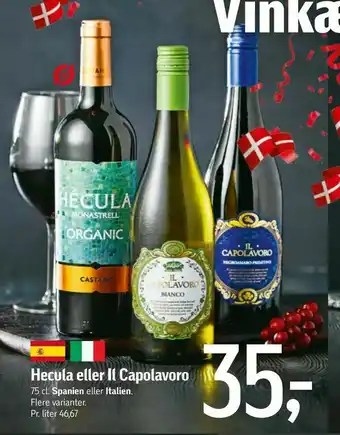 Føtex Hecula eller Il Capolavoro tilbud