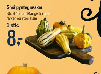 Føtex Små pyntegræskar tilbud