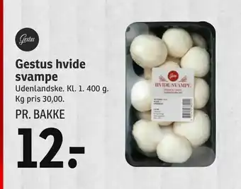 Gestus hvide svampe