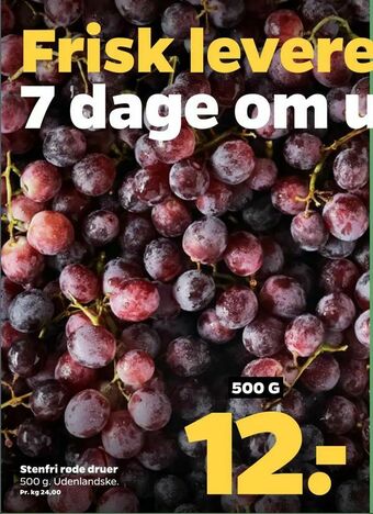 Netto Stenfri røde druer tilbud