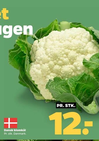 Netto Dansk blomkål tilbud