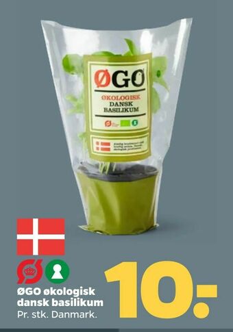 Netto ØGO økologisk dansk basilikum tilbud