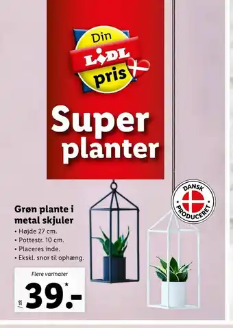 Let-Køb Grøn plante i metal skjuler tilbud