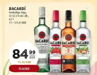 Scandinavian Park BACARDÍ tilbud