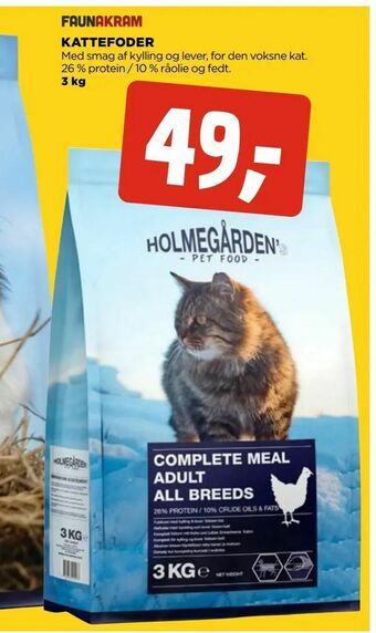 Kattefoder