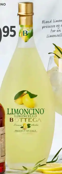 BOTTEGA LIMONCINO LIMONCELLO