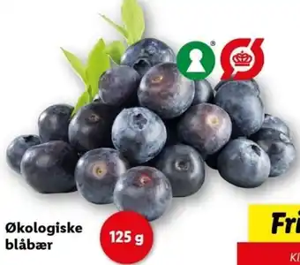 Lidl Økologiske Blåbær 125 g tilbud