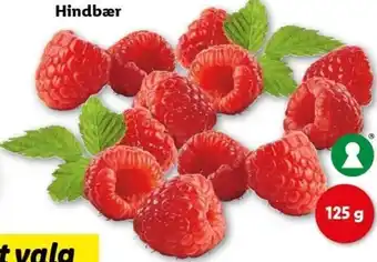 Lidl Hindbær 125 g tilbud
