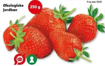 Lidl Økologiske Jordbær 250 g tilbud