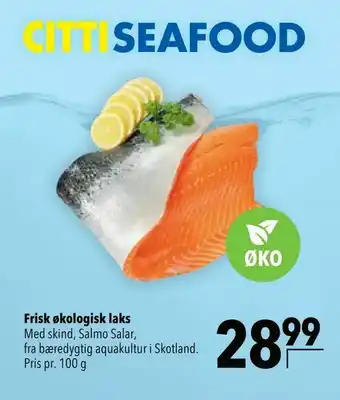 Citti Frisk økologisk laks tilbud