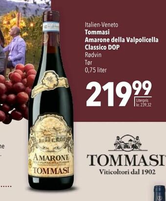 Citti Tommasi Amarone della Valpolicella Classico DOP tilbud