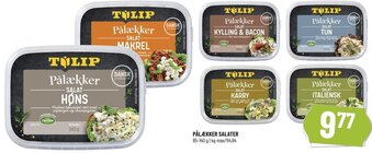 Løvbjerg Pålækker Salater 85-140 g tilbud