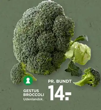 MENY GESTUS BROCCOLI tilbud