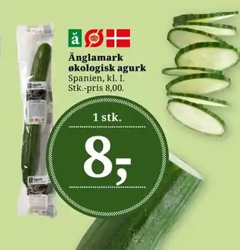Dagli'Brugsen Änglamark økologisk agurk tilbud