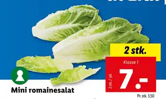 Lidl Mini romainesalat tilbud