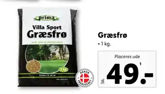 Græsfrø