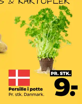 Netto Persille i potte tilbud
