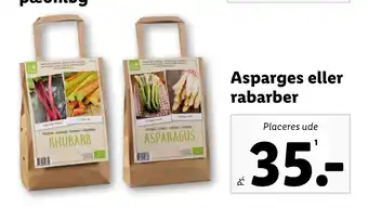 Lidl Asparges eller rabarber tilbud