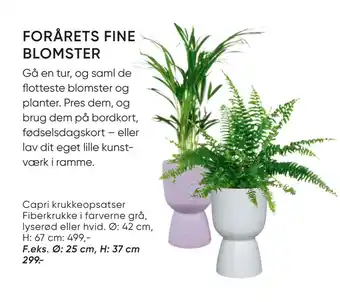 Bilka Capri krukkeopsatser tilbud