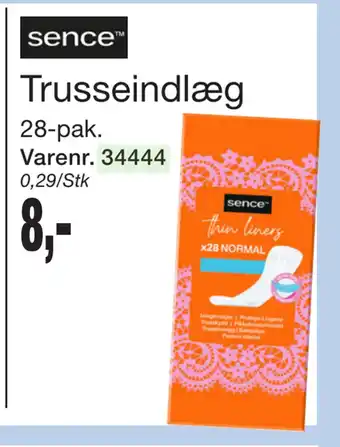 Trusseindlæg