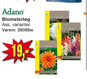 Harald Nyborg Blomsterløg tilbud