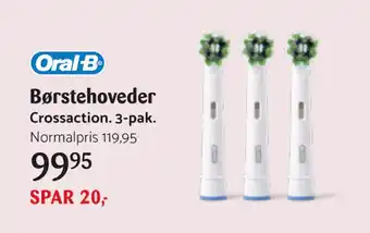 Børstehoveder