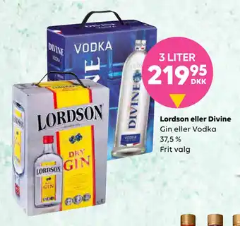 Lordson eller Divine