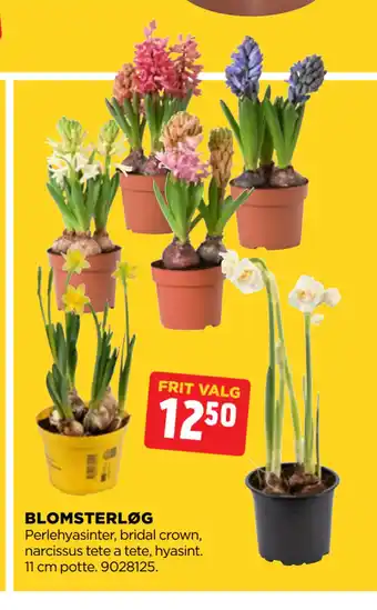 jem & fix BLOMSTERLØG tilbud