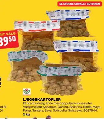 jem & fix LÆGGEKARTOFLER tilbud