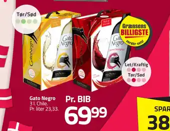 Gato Negro