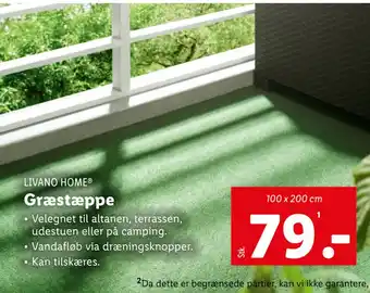 Græstæppe