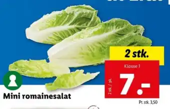 Lidl Mini romainesalat tilbud