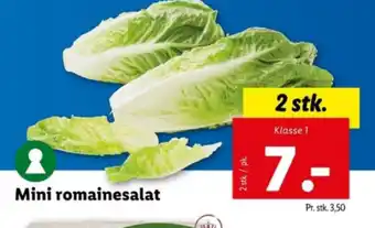 Mini romainesalat