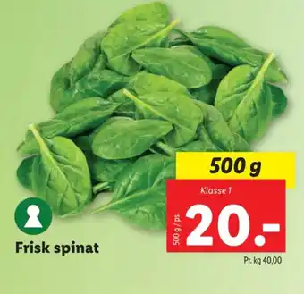 Lidl Frisk spinat tilbud