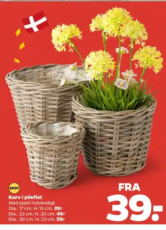 Netto Kurv i pileflet tilbud