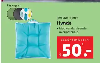 Hynde