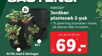 Lidl Jordbær plantesæk 2-pak tilbud