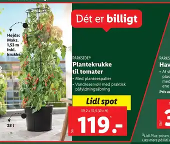 Lidl Plantekrukke til tomater tilbud