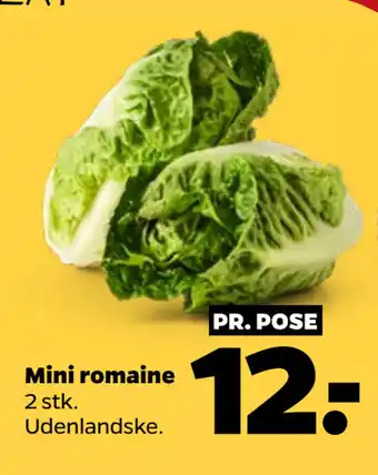 Netto Mini romaine tilbud
