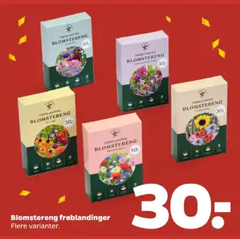Netto Blomstereng frøblandinger tilbud
