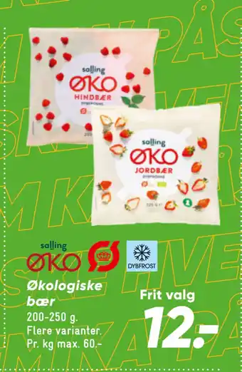 Bilka Økologiske bær tilbud